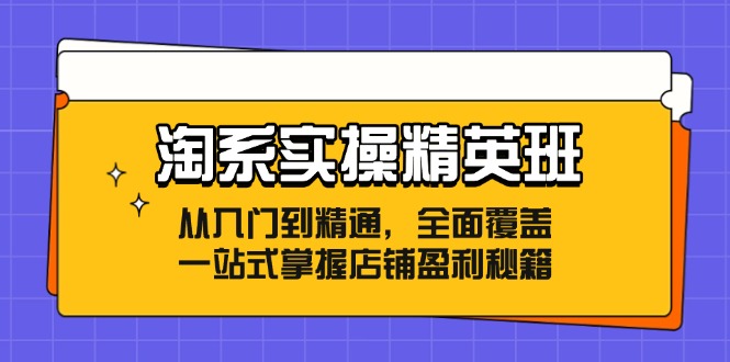 淘系实操精英班：从入门到精通，全面覆盖，一站式掌握店铺盈利秘籍-83网创